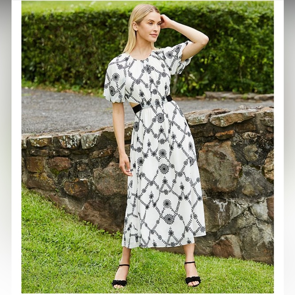 NWT ANTONIO MELANI Javier Novelty Embroidered Chiffon mini dress